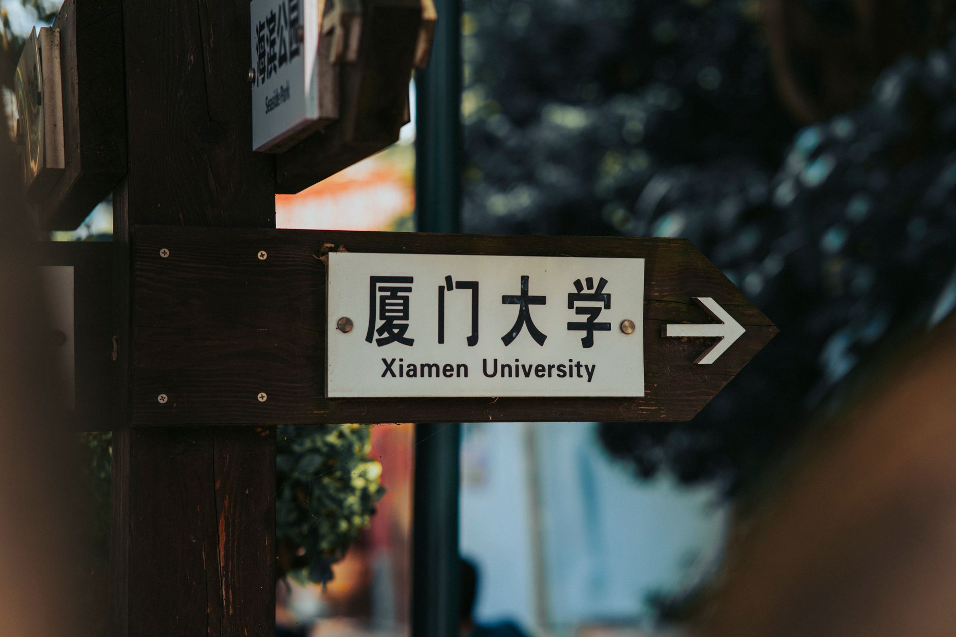 eduagent-org-cn 配图